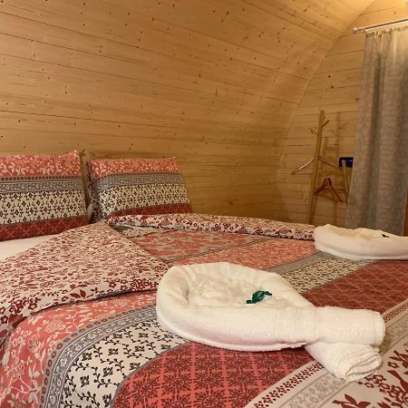 Piccadilly B&B Pordenone Εξωτερικό φωτογραφία